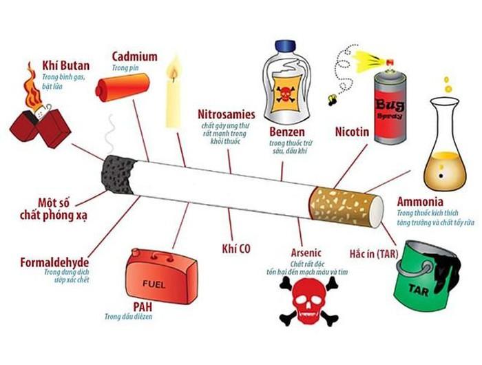 Thuốc lá chứa rất nhiều chất độc hại.